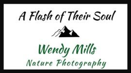 Wendy Mills Nature Photography